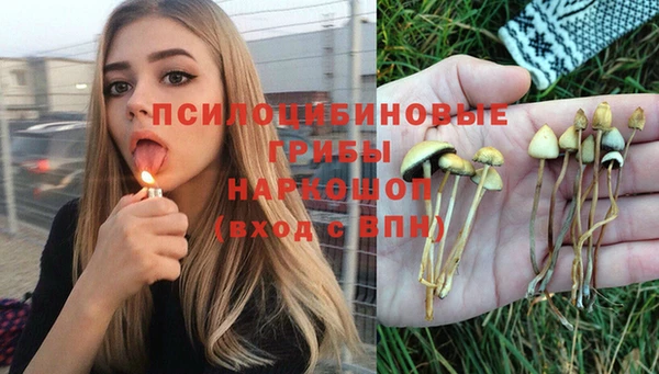 кокаин Новозыбков