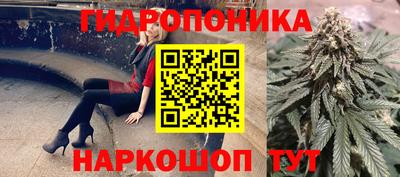 гашик Балашиха