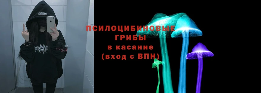 наркотики  Котлас  Галлюциногенные грибы Psilocybe 