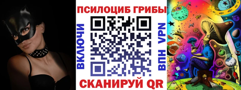 это какой сайт  Котлас  Псилоцибиновые грибы мухоморы 