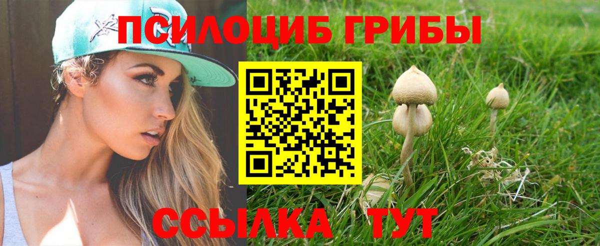 Псилоцибиновые грибы GOLDEN TEACHER Котлас